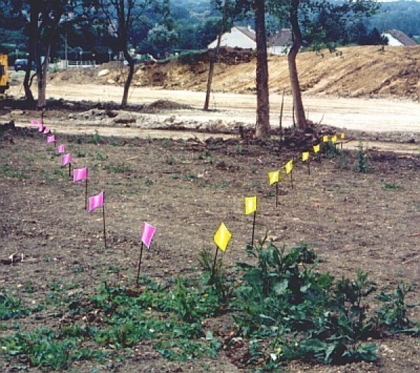 AbsperrungrJt9lDXFjKRee